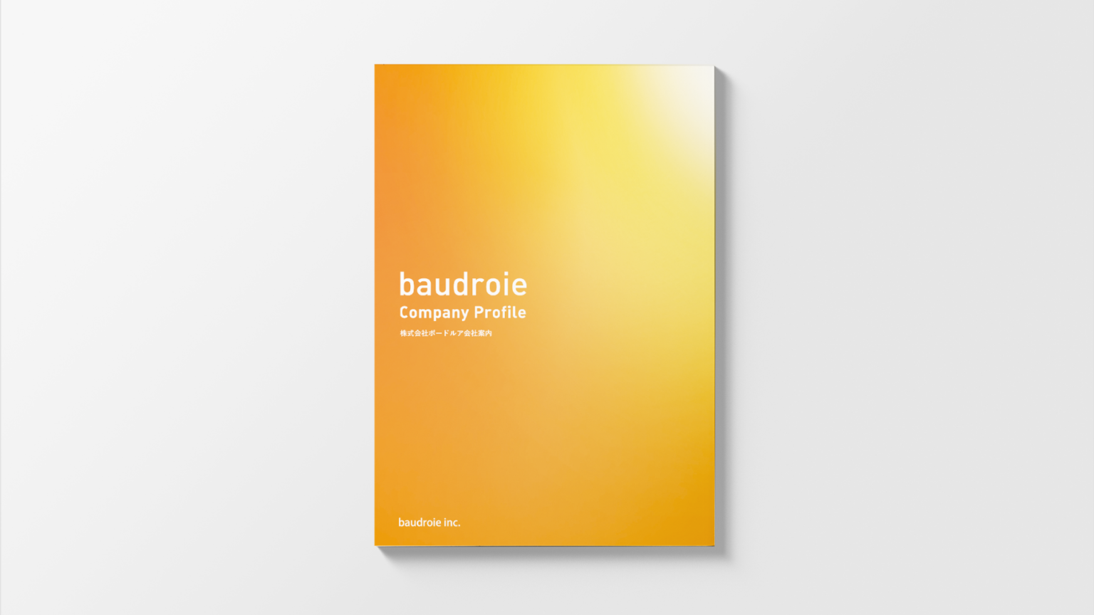 ボードルア会社案内 株式会社クレーター